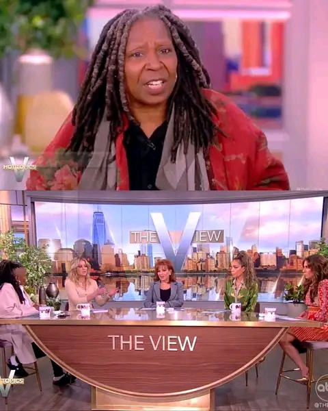 Unspeakable: “She Cornered Me In A Bathroom”: Joy Behar Of “The View” Gets Roasted For “Mean” Behavior…See More