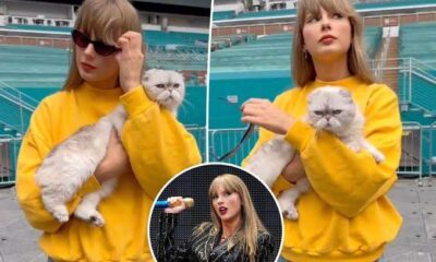 Amazing Taylor Swift: she was with her CAT Olivia as She stand pulled off her black sunglasses steadily when she arrived Stadium in Miami, Florida. but...