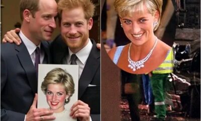 GOOD NEWS: Prince William Immediately Summons Harry Back To The Palace After Recovering Footage From Diana’s 30-Year-Old Case: “Dear Harry, I Now Know The One Who Hurt Our Mother Is…”